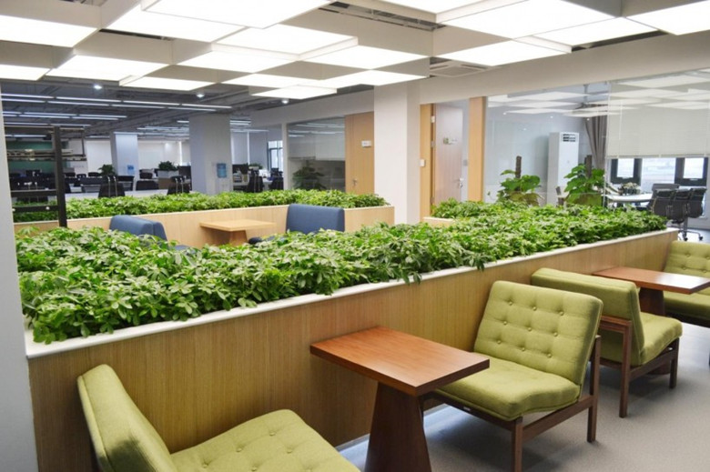 黃浦辦公設計裝修-綠色環保互聯網辦公室-第3張圖片-上海古都建筑設計集團