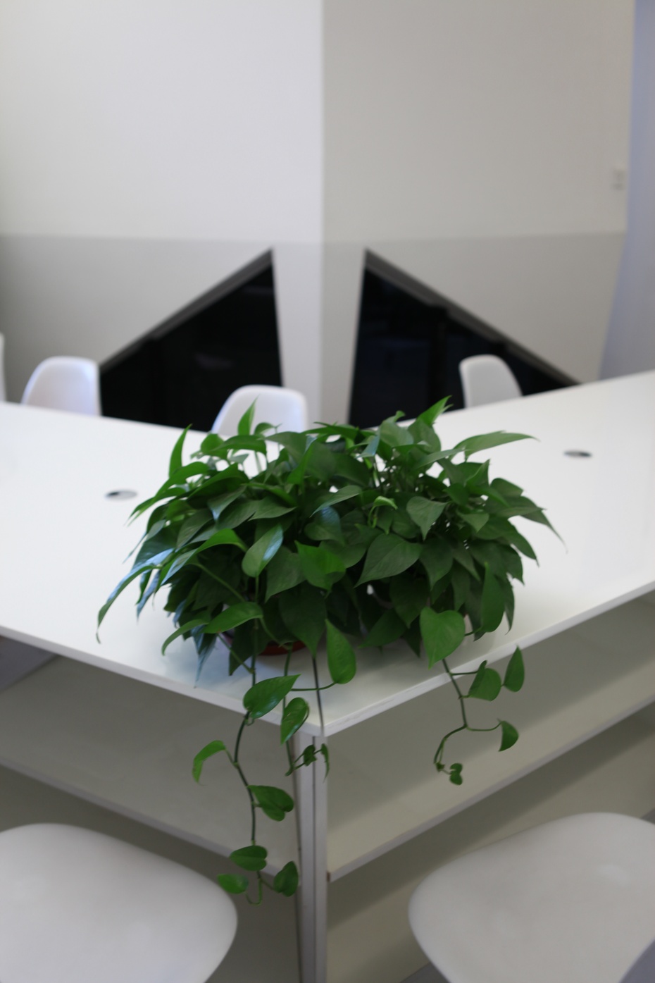 嘉定區小清新辦公室裝修設計案例-第6張圖片-上海古都建筑設計集團