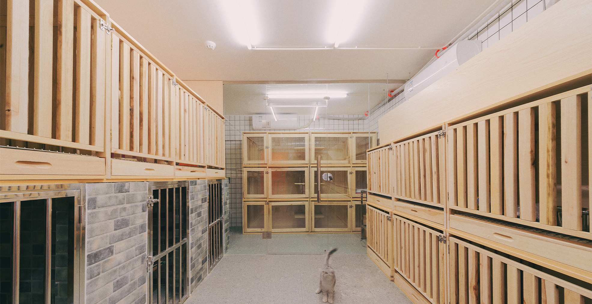 青浦區小清新寵物店裝修設計-第2張圖片-上海古都建筑設計集團 青浦區小清新寵物店裝修設計-第2張圖片-上海古都建筑設計集團