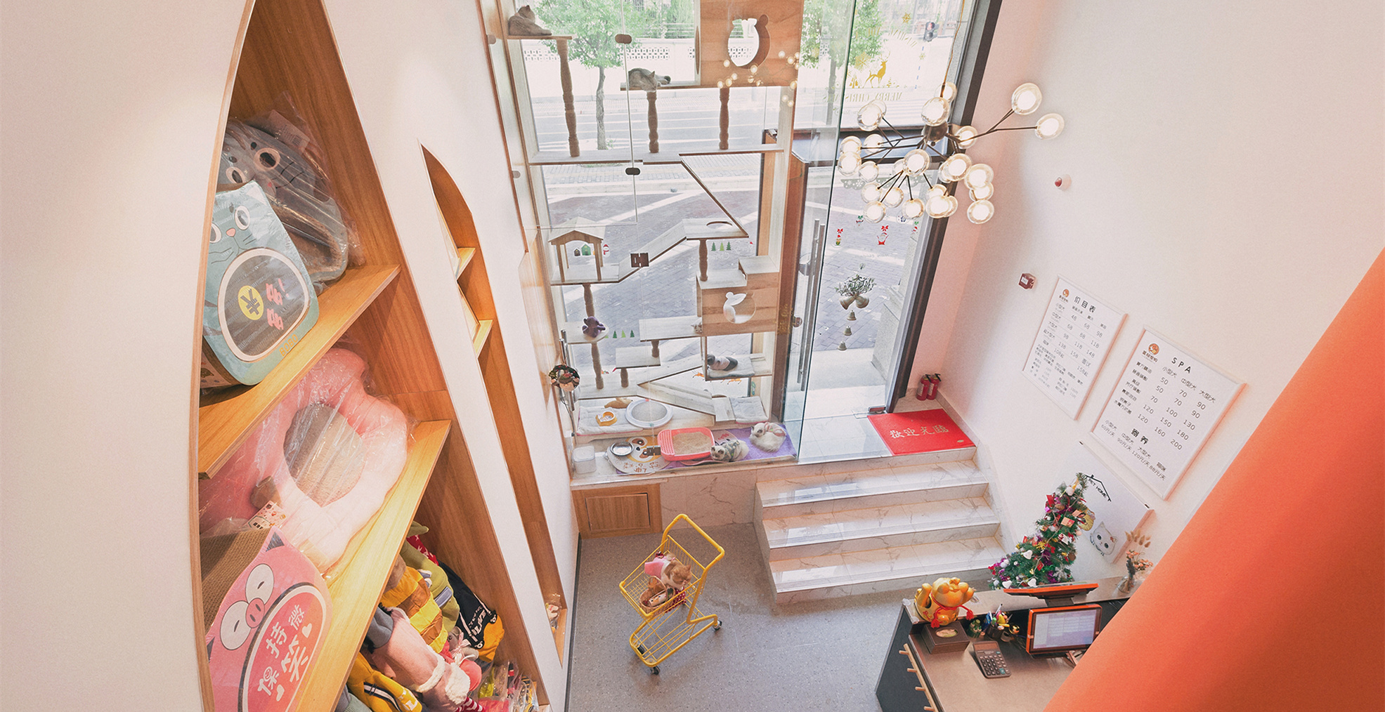 青浦區小清新寵物店裝修設計-第3張圖片-上海古都建筑設計集團 青浦區小清新寵物店裝修設計-第3張圖片-上海古都建筑設計集團